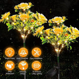 Carnation Flower Lights Solar  Lights