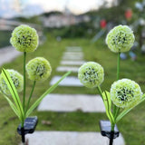 Newest Solar Dandelion Outdoor Lights and 36 LED(2pack)